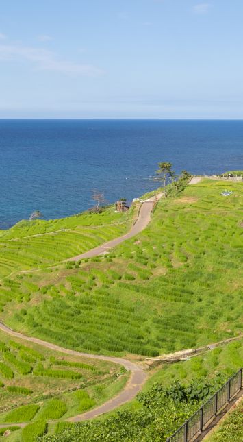 安全で、豊かで、潤いのある快適な居住空間の想像